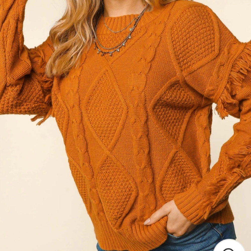π New Fringe Detail Sweater - Picture 6 of 8